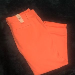 LOFT Pants NWT